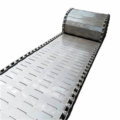 Chain Phaj Txuas Conveyor Siv